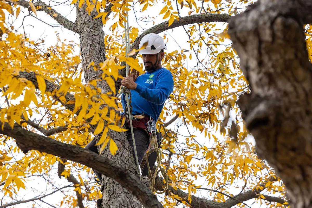 Skilled Storm Damage Cleanup crew working in Valliant